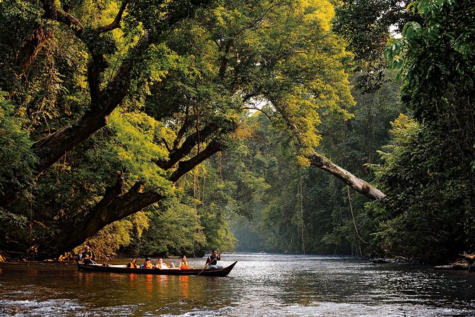 Taman Negara National Park best spots in malaysia for backpackers for couples